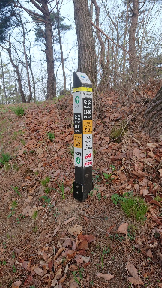 寄稿 韓国の山岳遭難事情 Jro 日本山岳救助機構合同会社