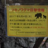 オサムの“遭難に遭う前に、そして遭ったら”｜クマの出没や人身被害が多発する今、クマ対策の定説を再考する
